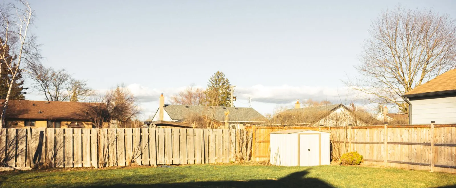 Sunny backyard with a tall wooden privacy fence and a wood shed.